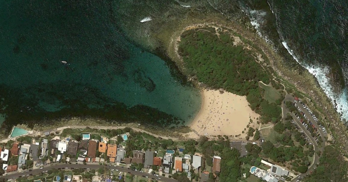 Manly Shelly Beach