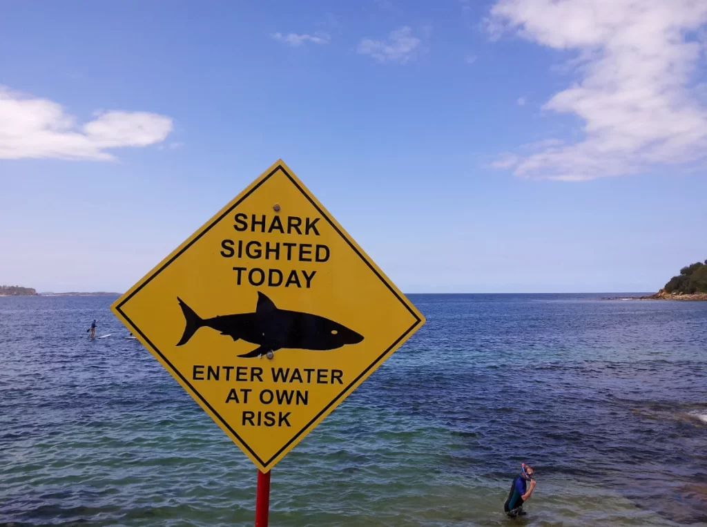 Manly trials Shark net with led lights